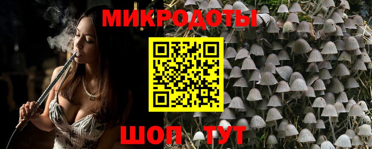 Галлюциногенные грибы GOLDEN TEACHER  Вход с VPN  Куйбышев 