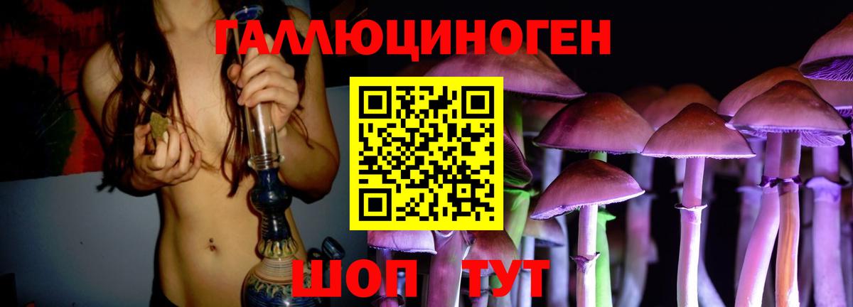 Псилоцибиновые грибы Psilocybe Куйбышев